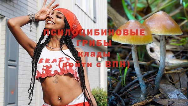 стафф Абинск
