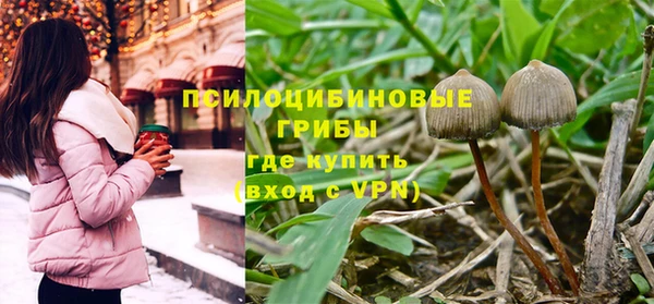 гидра Абдулино