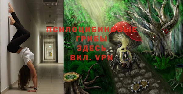 не бодяженный Абаза