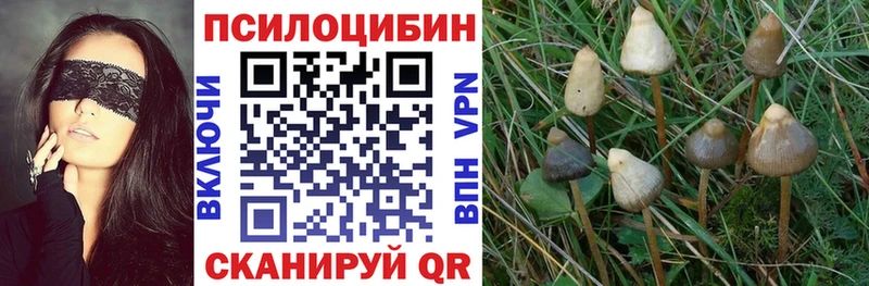 Псилоцибиновые грибы ЛСД  Сызрань 